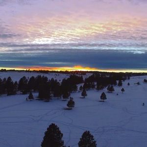 Meet your Posher, Mitchell